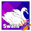 Draw and Color Swan
