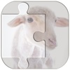 Real Animal Puzzle Jigsaw
