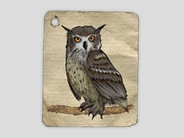 Owls Sticker Pack
