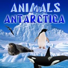 Top 20 Education Apps Like Animals Antarctica - Best Alternatives