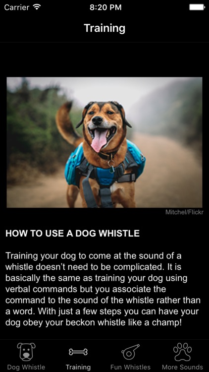 Dog Whistle & Training - Free Sound Trainer App screenshot-3