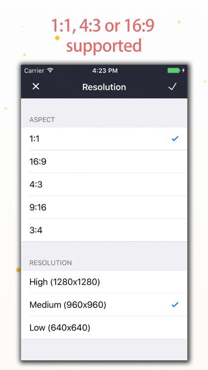 Slideshow Master Professional screenshot-3