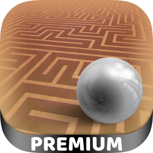 3D Labyrinth classic maze games - Pro