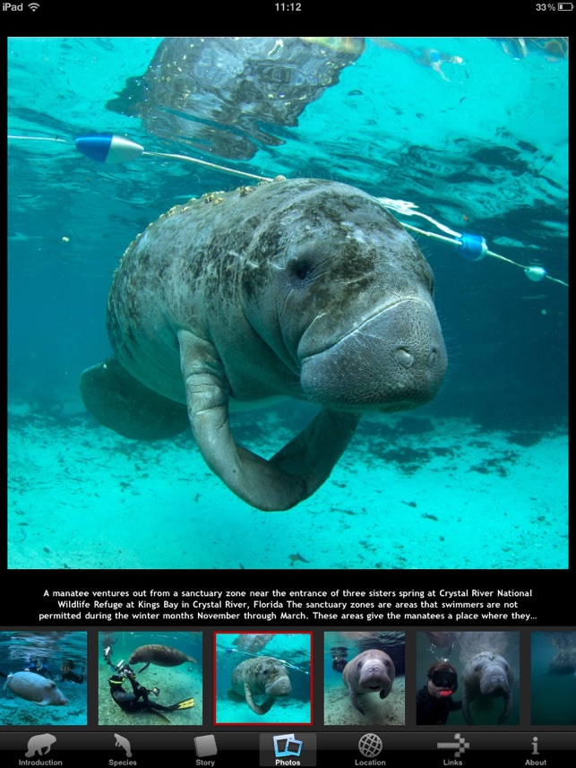 Manatees HD(圖3)-速報App