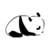 Panda stickers pack - cute animal sticker photos