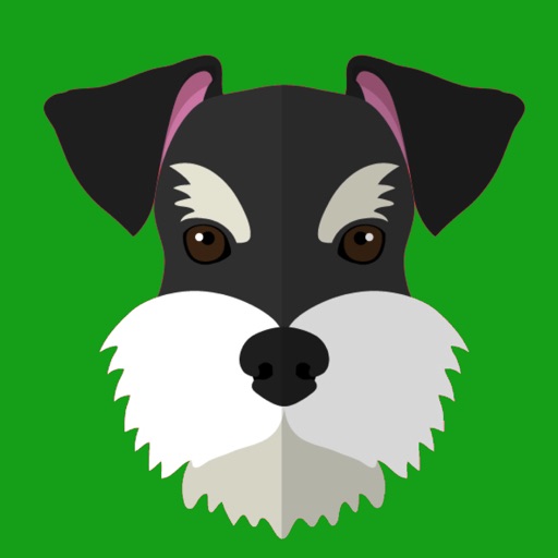 My Schnauzer