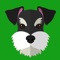 Finally a great personalised app for your Schnauzer