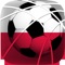 Penalty Soccer 20E 2016: Poland