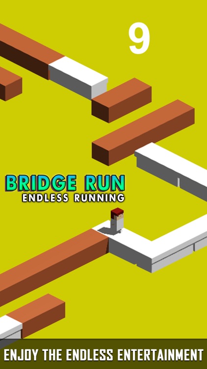Bridge Run – Endless Running screenshot-4