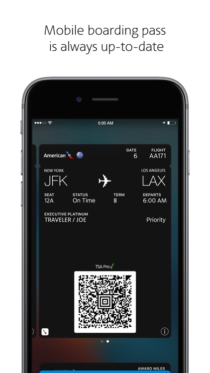 American Airlines screenshot-4