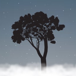 Clouds Above