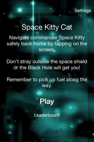 Space Kitty Cat screenshot 2