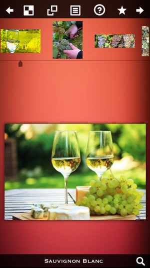 Wine Guide!(圖1)-速報App