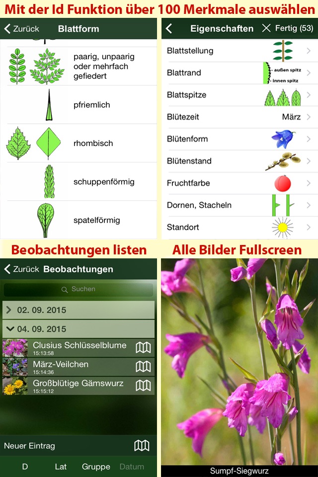 Blütenpflanzen Deutschland Blumen, Sträucher Bäume screenshot 4