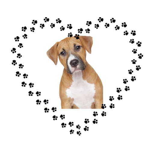 Animated Dog Lovers Sticker Pack