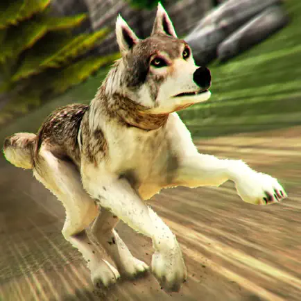 Wolf Simulator 2017 . Wolves Running Game vs Dogs Cheats