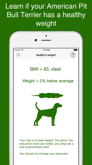 My American Pit Bull Terrier(圖2)-速報App