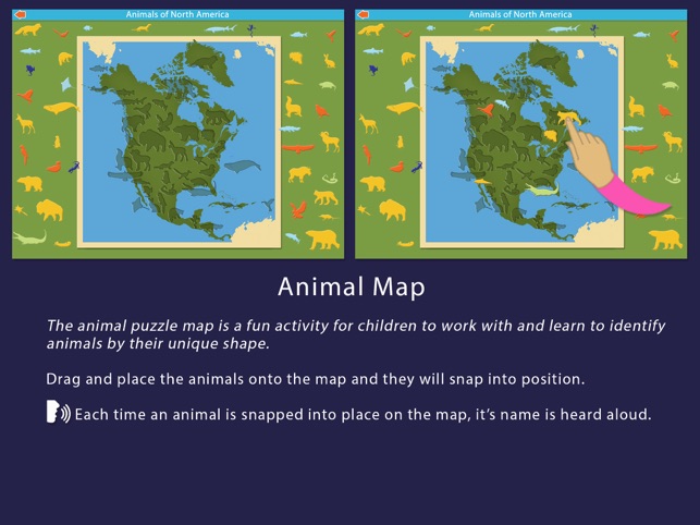 Animals of North America - Montessori Geography(圖5)-速報App