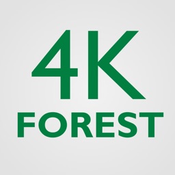 4K Forest