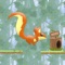 In Nut Rush you have to help the little squirrel to gather nuts and bring them safely to the nest