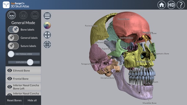 3D Skull Atlas(圖4)-速報App