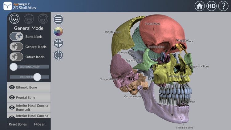 3D Skull Atlas screenshot-3