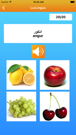 學有趣的波斯語 LuvLingua(圖1)-速報App