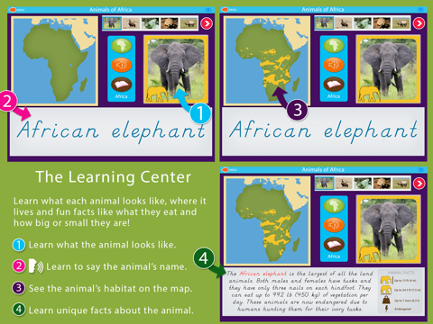 Animals of Africa - Montessori Geography - náhled