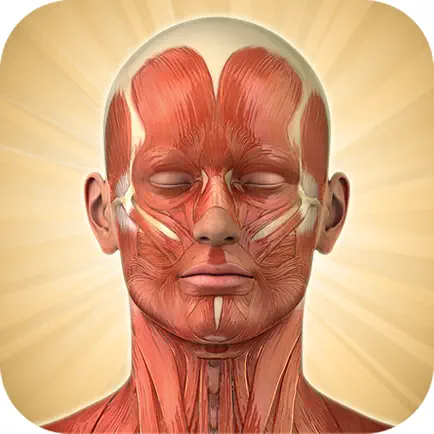 Know Your Body Lite Edition Читы