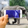 Xray Animal Scanner - iPadアプリ