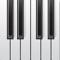 Mini Piano Lite is a great multitouch piano for iOS