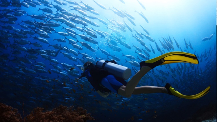 VR Scuba Diving for Google Carboard