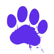 Activities of På sporet ABC (NN)