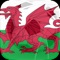 Real Penalty World Tours 2017: Wales