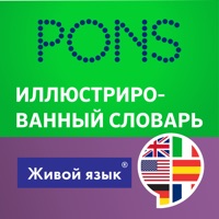 Иллюстрированный словарь. Учим языки по картинкам
