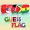 Icon Guess The Flag, Country Name