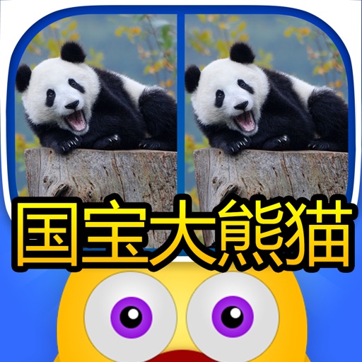 Find out the differences - Panda of china icon
