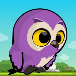 Flappy Little Bird