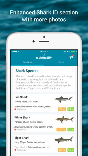 SharkSmart(圖3)-速報App