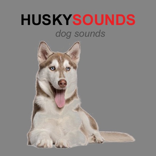 Husky Dog Sounds
