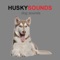 Husky sounds dog app provides you Husky barking sounds for Huskys and dog sounds + Barking Sounds and dog barks at your fingertips