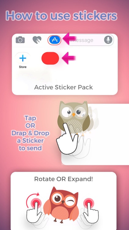 Cute Cartoon Owl