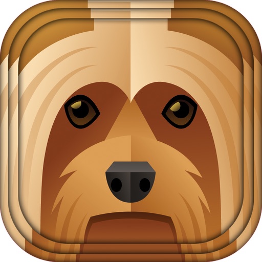 Animals in Casuals iOS App