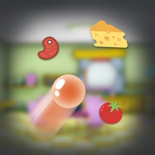 Grocery Catcher Game iOS App
