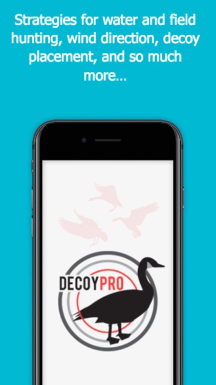 Goose Hunting Diagrams - DecoyPro