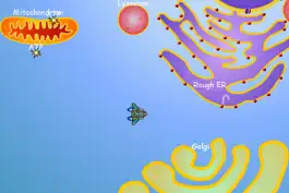Game screenshot Cell Explorer: The Animal Cell mod apk