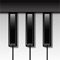 The first widely available mobile multi-touch piano, Pianist has been featured in a number of Apple advertising campaigns and was one of the 'Awesome iOS4 Apps' in an Apple iTunes promotion