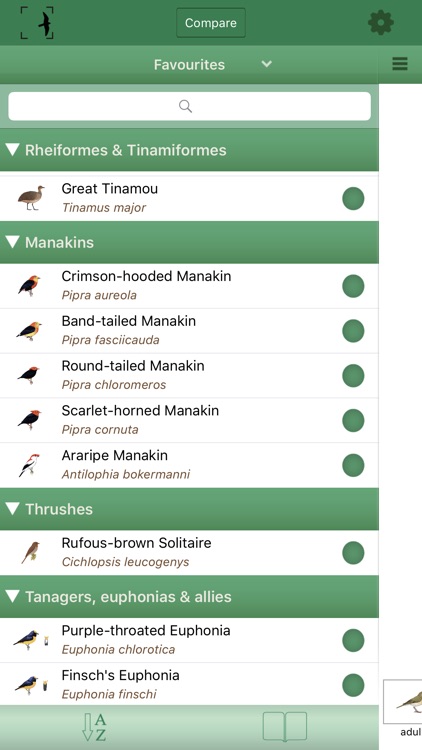 Birds of Brazil screenshot-3