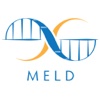 MELD : Black Professional Dating Re-imagined