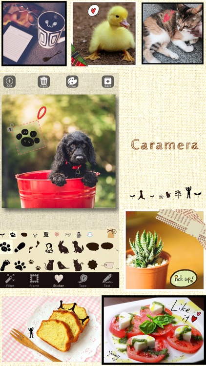 Caramera -Photo Decorator-
